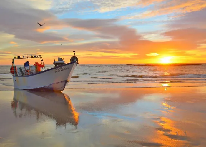 Appartamento Estrelinha Do Mar In *