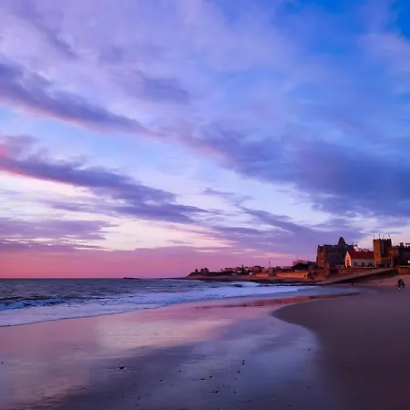 Estrelinha Do Mar In Apúlia