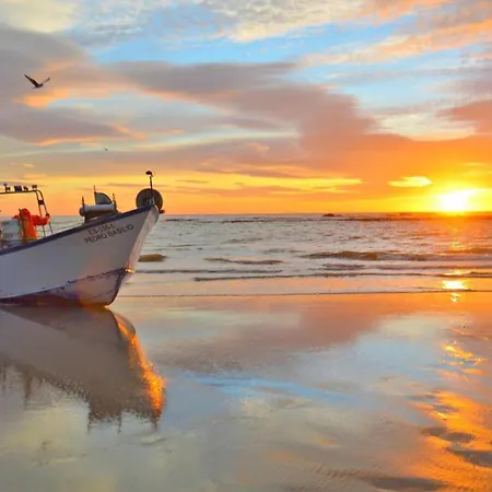 Apartman Estrelinha Do Mar In *