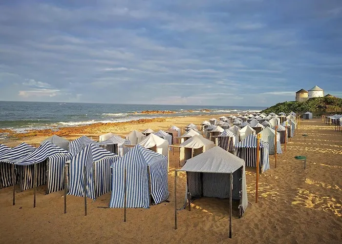 Estrelinha Do Mar In 公寓 *